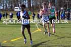 Junior Womens 2025 Northern Cross Country Champs, Tatton Park, Knutsford, Cheshire. Photo: David T. Hewitson/Sports for All Pics